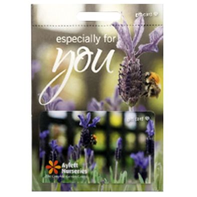 Aylett Gift Card - Bee On Lavender